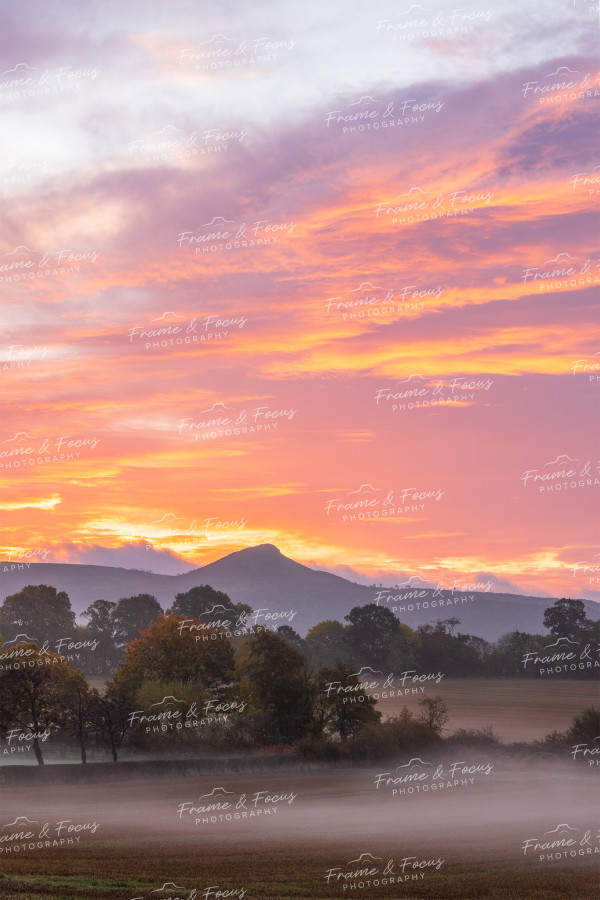 To buy a print or any of the below please click on the images